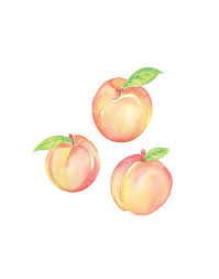 Watercolor Peaches Printable Art Print Instant Digital Etsy Printable Art Prints Peach Art Art Prints