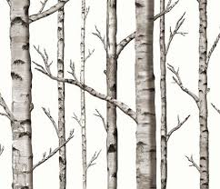 Their distinctive bark and beautiful leaves make them prized shade and ornamental trees. Colorful Fabrics Digitally Printed By Spoonflower Smaller Scale Birch Grove In Warm Grey And Linen White White Birch Trees Wallpaper Spoonflower