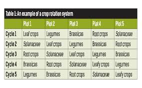 Three Crop Rotation Garden Design Ideas