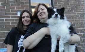 We are 501(c) 3 nonprofit, dedicated to saving lives and finding forever homes for stray, abandoned. Almost Home Animal Shelter To Close In 2016