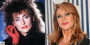 800 chansons des ann�es 80.up by tigers62510 fo.rar. Avant Apres Stars 80 Les Artistes Ont Bien Change Photos