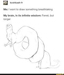 Me I Want To Draw Something Breathtaking My Brain In Its Infinite Wisdom Ferret But Longer Ifunny Funny Drawings Art Quotes Funny Artist Memes