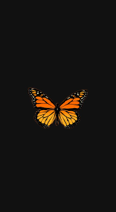 Share the best gifs now >>> Cute Aesthetic Vsco Orange Yellow Butterfly Black Wallpaper In 2021 Butterfly Wallpaper Gold Glitter Wallpaper Iphone Cute Panda Wallpaper