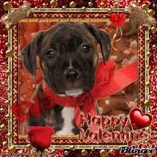 10 Adorable Valentine S Day Blessings Happy Valentines Day Happy Valentines Day Images Puppy Valentines