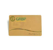 Factory Outlet Custom Membership Card VIP Card Business Card