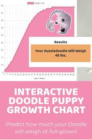 Puppy Growth Chart For Doodles And Interactive Calculator In 2020 Puppy Growth Chart Growth Chart Growth Chart Calculator