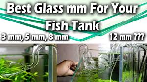 Best Mm Glass For Your Fish Aquarium Glass Thickness 3 Mm 8 Mm 12 Aquarium Fish Care Cichlid Fish
