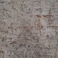 Ramiro Pico (@rama_pico) • Instagram photos and videos