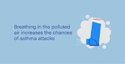 Image result for what are the benefits of having an air purifier