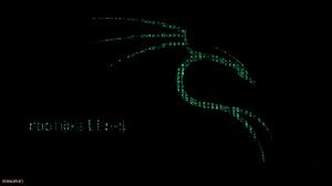 It is maintained and funded by offensive security. Kali Linux Android Wallpapers Wallpaper Cave