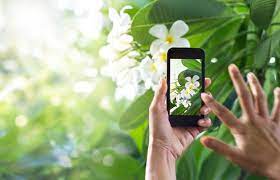 Picturethis is capable of identifying 10,000+ plant species with accuracy of 98%, better than most human experts. Plantsnap A Smart App That Identifies Plants Tapsmart