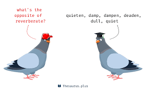 6 Reverberate Antonyms Full List Of Opposite Words Of Reverberate