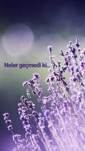 Surmeli Goz Adli Kullanicinin Manidarlik Diyari Panosundaki Pin Iphone Arkaplanlari Resimler Resim