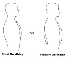 Jelaskan proses pernafasan perut : Pernapasan Perut Semua Lengkap Disini Hisham Id
