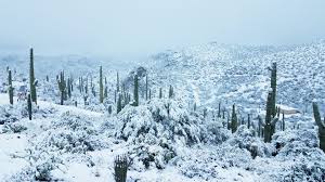 Phoenix is sometimes called the valley of the sun due to the ample sunshine and hot weather it experiences throughout the summer, but the city has experienced an abnormally hot start to april. State Of Emergency In Flagstaff After Snowiest Day On Record 12news Com