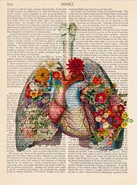 Decorative Art Book Page Upcycled Page Book Print Vintage Etsy Vintage Wall Art Prints Book Art Canvas Art Prints