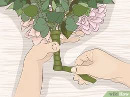 We would like to show you a description here but the site won't allow us. 4 Ways To Make A Bridal Bouquet With Artificial Flowers Wikihow