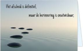 Afbeeldingsresultaat voor afbeelding troost overlijden hond