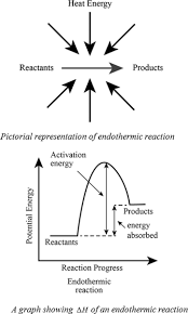 Definition Of Exothermic And Endothermic Reactions Chegg Com