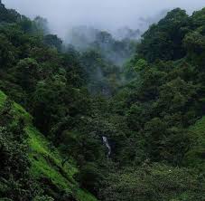 Western Ghats Karnataka India Western Ghats Karnataka Travel Dreams