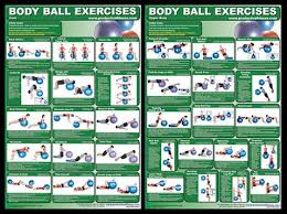 Body Ball Exercises Professional Fitness Wall Charts 2 Poster Combo Productive Fitness