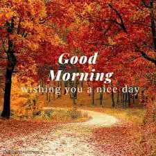 150 Fresh Beautiful Good Morning Images With Nature Good Morning Nature Good Morning Images Good Morning Photos