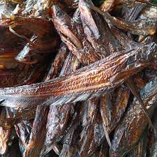 Jenis ikan channa ini juga tergolong salah satu yang paling unik aqua friends. Salai Lais 500 Gram Termurah Salai Ikan Lais Asli Kapuas Hulu Ikan Salai Shopee Indonesia