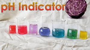 make your own ph indicator from red cabbage