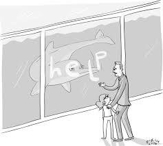 The Driver S Seat New Yorker Cartoons Cartoon Posters Poster Prints