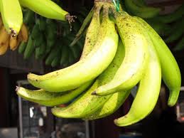 Sama seperti jenis pisang lainnya yang telah dibahas diatas, pisang kepok memiliki banyak manfaat dari. Lendah Dua Puluh Jenis Pisang Konsumsi Dan Bernilai Ekonomi