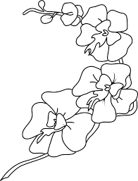 This particullar coloring sheet meassure is about 600 pixel x 734 pixel with approximate file size for around 93.23 kilobytes. Orchid Coloring Pages Best Coloring Pages For Kids
