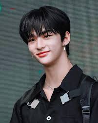 Introduction to Stray Kids Fandom and Personal Experience