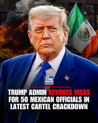 Cayde6 (@miguela64323307)