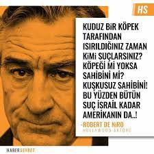 kuduz bir kopek tarafindan isirlidiginiz zaman kimi suclarsiniz kuskusuz sahibini bu yuzden butun suc israil kadar amerikanin da robert de niro gercekler kitap