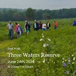 Trail Walk: Three Waters Reserve