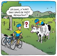 Humour cycliste