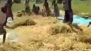 We did not find results for: Masaga Nyanda Kubyala