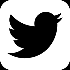 Image result for twitter logo black