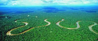 From wikipedia, the free encyclopedia. Brazil Frustrates California S Hopes For International Forest Carbon Offsets Friends Of The Earth International