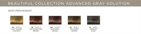 Clairol Advanced Gray Solution Color Chart Sbiroregon Org