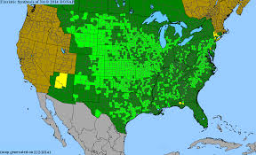 2013 Bonap North American Plant Atlas Taxonmaps Asclepias Milkweed Asclepias Tuberosa
