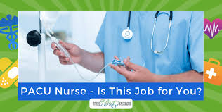 Mix & match, buy one, get one 40% off event Post Anesthesia Care Unit Pacu Nurse Is This Job For You