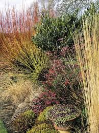 Pin En Debby Evans Garden Design