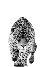 Pin On Cosas Para Dibujar