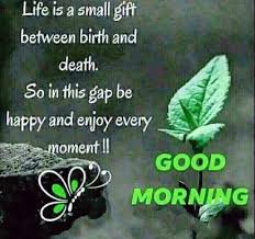Morning Quote Good Morning Quotes Morning Quotes Good Morning Wishes