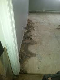Infiltration D Eau Au Sol Hardwood Hardwood Floors Flooring