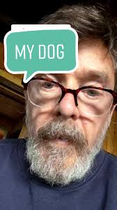 Replying to @md_sports_fan what will happen to my dog? #goodhome