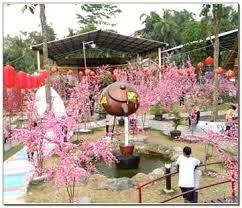 Японская актриса сакура мана (sakura mana). Istana Sakura Blitar Harga Tiket Masuk Fasilitas Dan Rutenya Wisatamantul Com