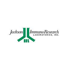 Rated 5 out of 5 by valeb2 from secondary antibody: Dianova A Wide Range Of Secondary Antibodies For Your Immunoassays