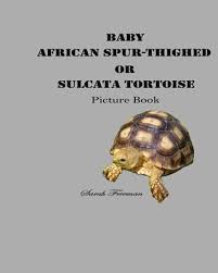 Download free books in pdf format. Baby African Spur Thighed Or Sulcata Tortoise Picture Book Sarah Freeman 9781676958147